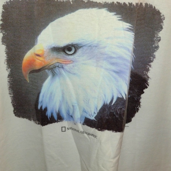 Women's plus size 2x eagle shirt 100% cotton - Picture 2 of 3